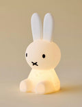 Miffy Bundle of Light